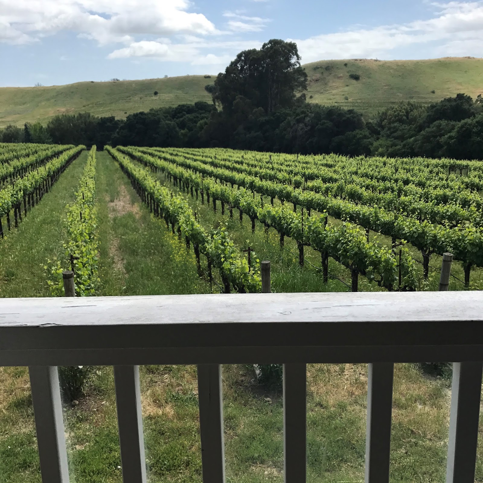 Too Cool for California? Try Wine Time In Other States!