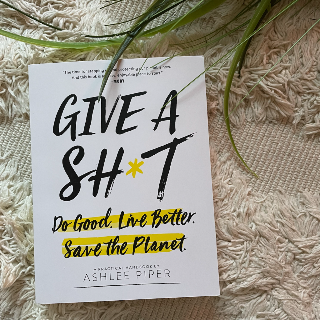 Give a Shit Ashlee Piper Self development book for women