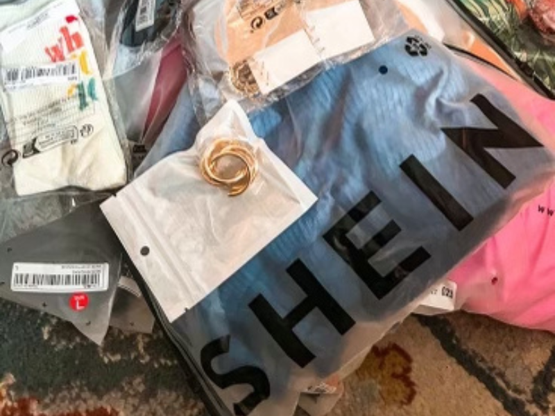 shein impact- fast fashion